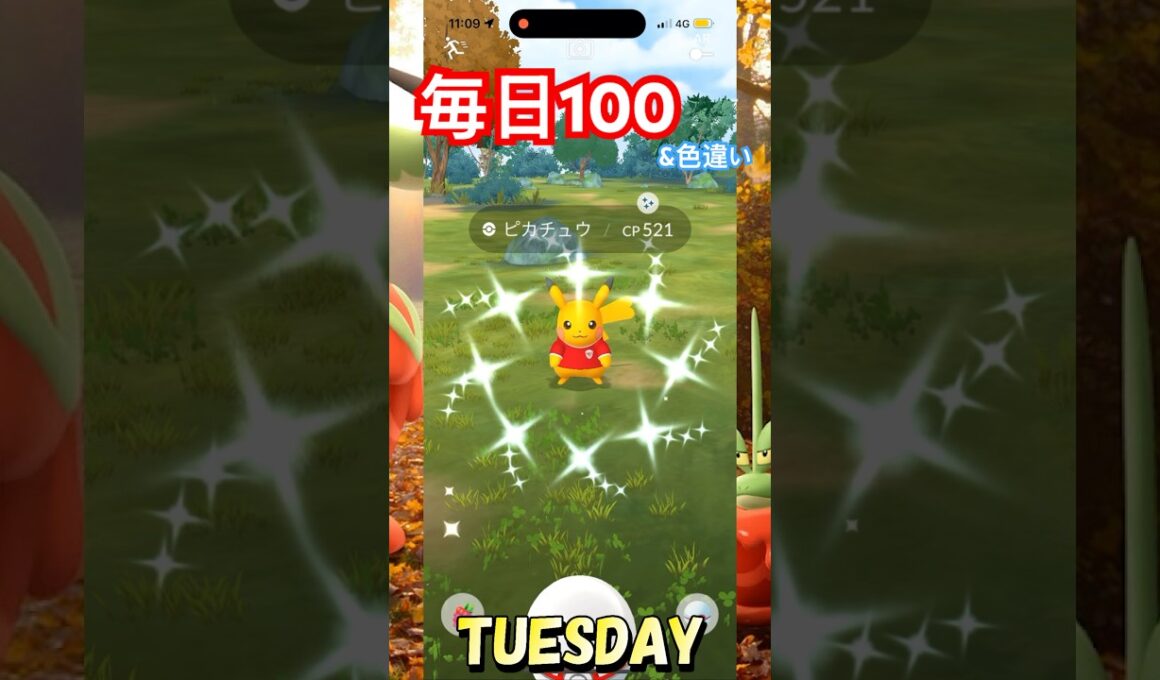 ユニランのコミュデイお疲れ様でしたぁ😁#shorts #pokemon #ポケモンgo #pokemongo