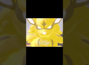 誰からも応援されないウインディ戦#ポケモンレジェンズアルセウス #ゲーム実況 #shorts