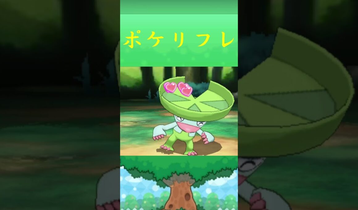 ハスブレロ*ポケリフレ ポケパルレ #ポケモン #Pokemon  #3DS #ポケモンsv #nintendoswitch #nintendoswitch2 #pokemonlegendsza