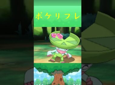 ハスブレロ*ポケリフレ ポケパルレ #ポケモン #Pokemon  #3DS #ポケモンsv #nintendoswitch #nintendoswitch2 #pokemonlegendsza