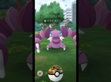 野生のドラピオンGETの瞬間!!! #pokemon #pokemongo #ポケモン #ポケモンgo #shorts