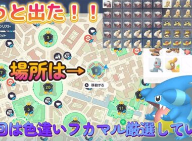 【色違い厳選】ついに出た！フカマル色違いが可愛すぎる！