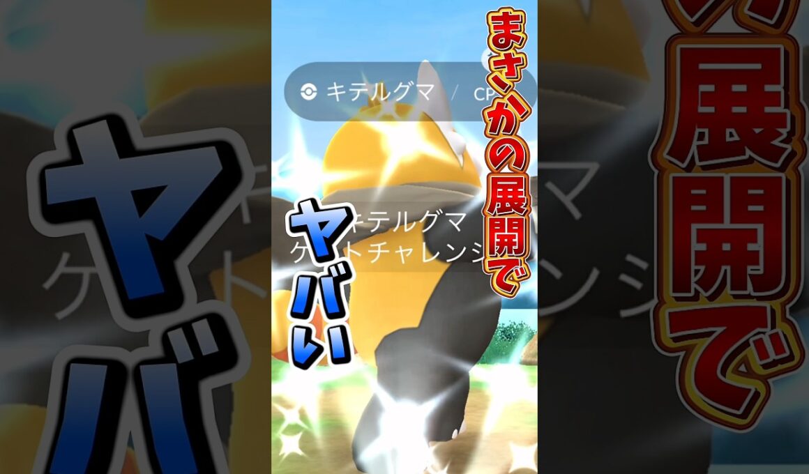 【悲報】色違いが逃亡！？マントをつけたキテルグマで壮大にやらかす...。【ポケモンGO】#ポケモンGO #島名なまし　#ワイルドエリアグローバル