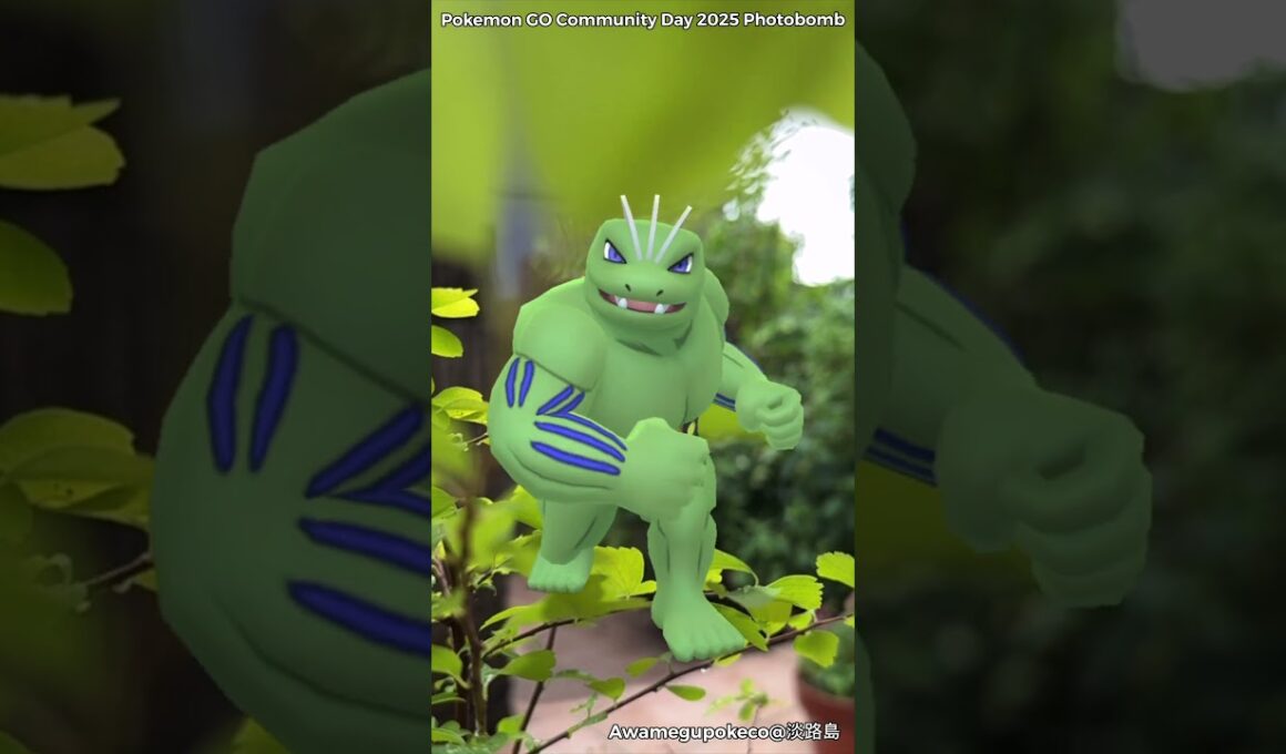 ワンリキー｜Machop｜ゴーリキー｜Machoke｜カイリキー｜Machamp｜ShinyPokémon【ポケモンGO】PoKeMoN GO AR｜AR動画｜GOsnapshot