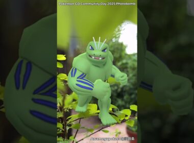 ワンリキー｜Machop｜ゴーリキー｜Machoke｜カイリキー｜Machamp｜ShinyPokémon【ポケモンGO】PoKeMoN GO AR｜AR動画｜GOsnapshot