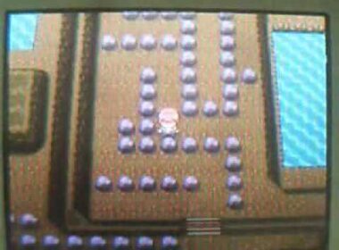 シェイミ劇情(鉑金版)補充片段