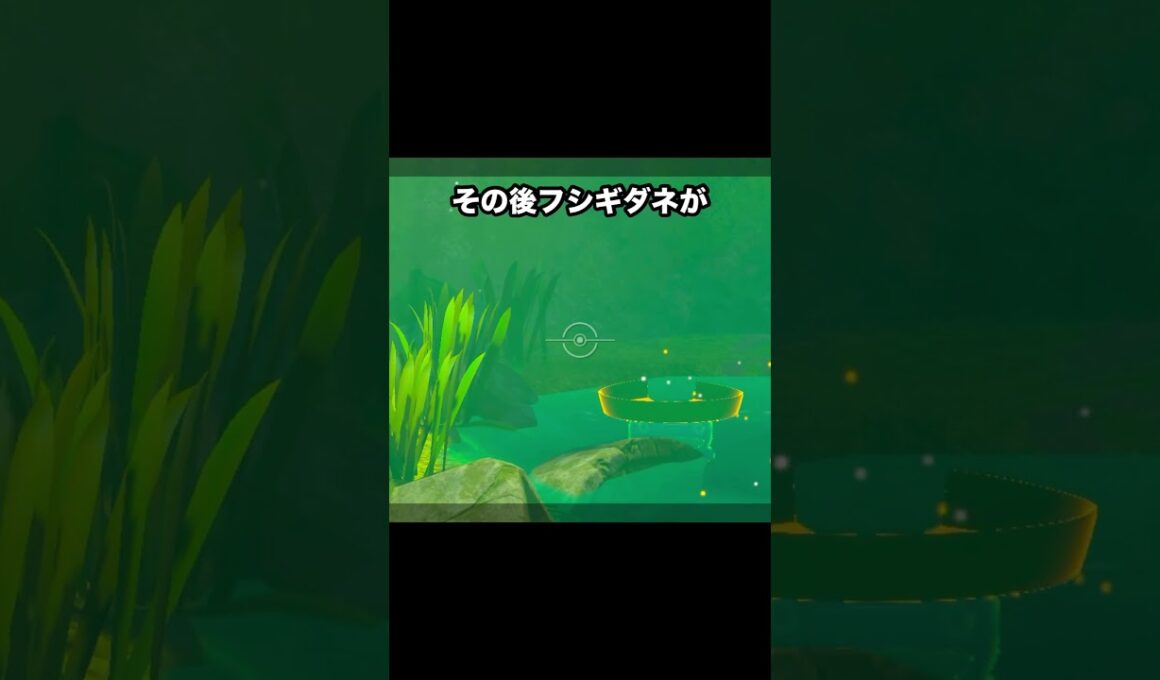 【カワイイの渋滞】フシギダネとハスボーのちいさい者同盟 #ポケモン #newポケモンスナップ