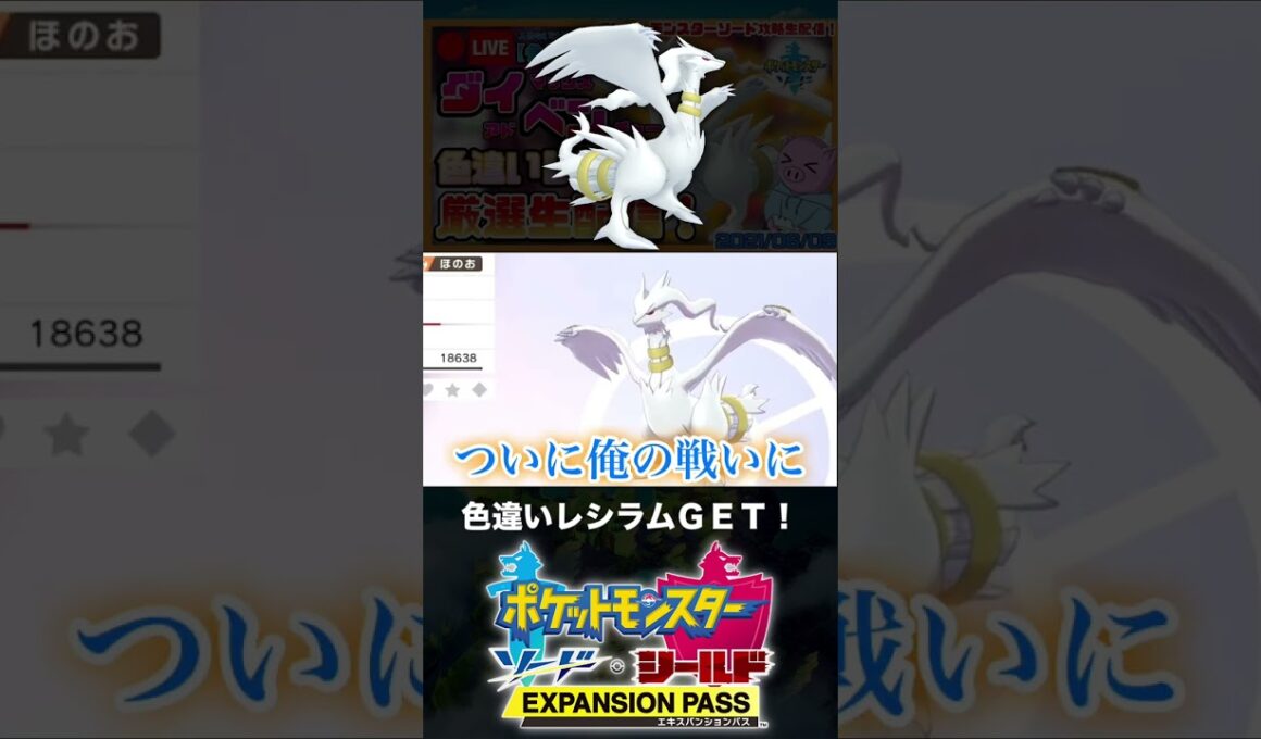 色違いレシラムと邂逅した男【ポケモン剣盾】