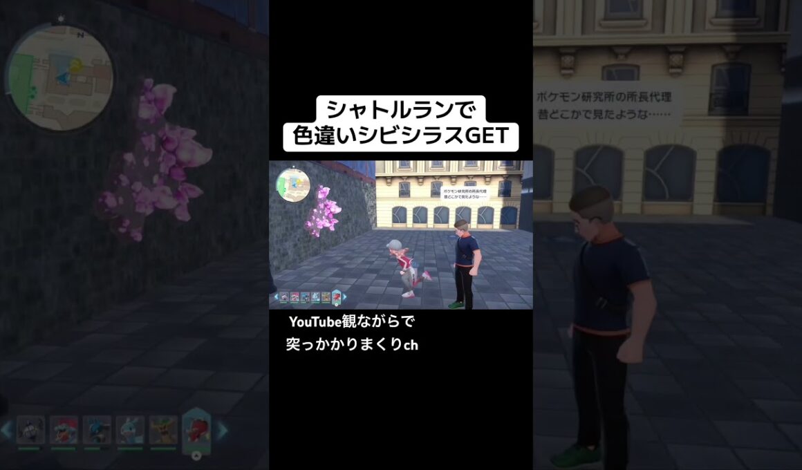 色違いシビシラスシャトルラン。拙者シャトルラン大好き侍。 #ポケモンza
