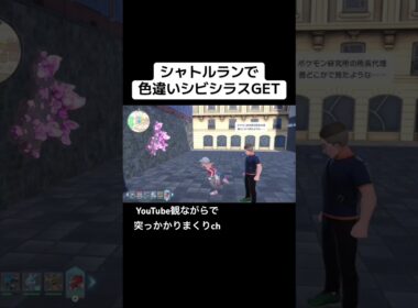 色違いシビシラスシャトルラン。拙者シャトルラン大好き侍。 #ポケモンza