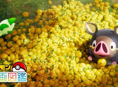 【公式】「ポケモン動画図鑑」No.0915 グルトン