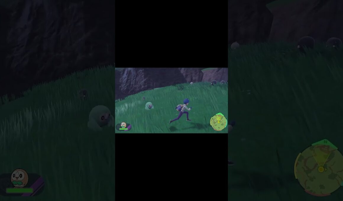 モクローと遊んでみた！(Short Version) #粒月フラ #ポケモンsv #モクロー