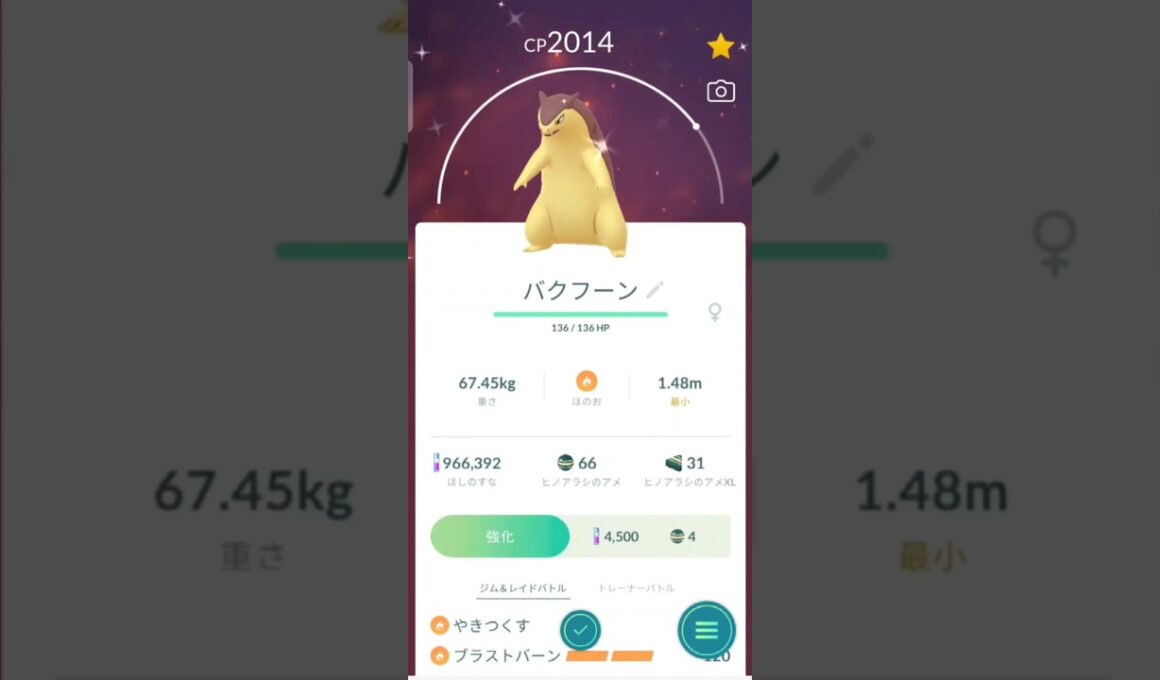 色違い　ヒノアラシからバクフーンに進化　ポケモンGO