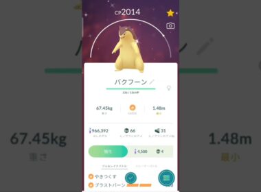 色違い　ヒノアラシからバクフーンに進化　ポケモンGO
