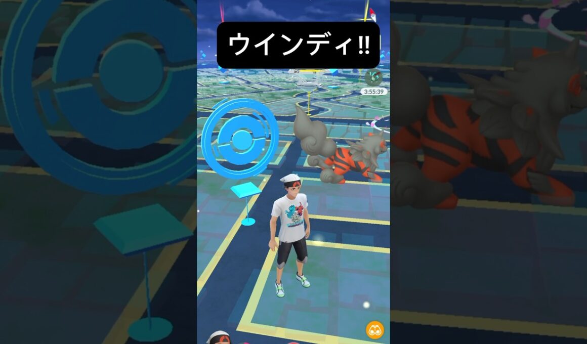 【ポケモンGO】ヒスイウインディが現れた!!【✨Hisuian Arcanine Pokémon GO X Pokemon Card Artwalk✨】