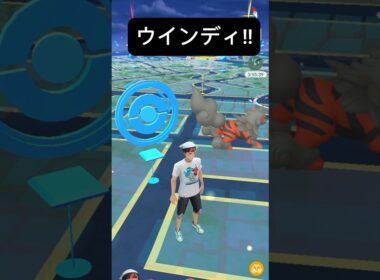 【ポケモンGO】ヒスイウインディが現れた!!【✨Hisuian Arcanine Pokémon GO X Pokemon Card Artwalk✨】