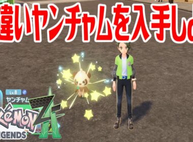 【ポケモンZ-A】色違いヤンチャムを入手しよう【Pokémon LEGENDS Z-A】