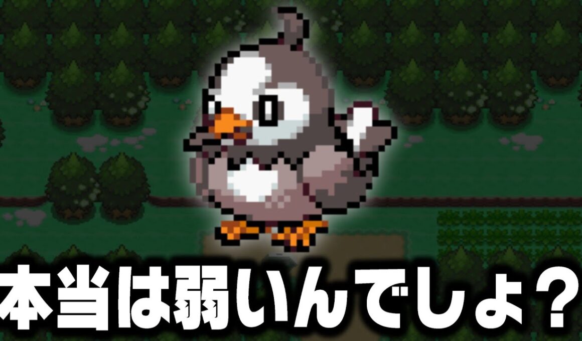 ムックルは本当に最強の序盤鳥ポケモンなのか