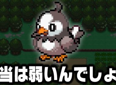 ムックルは本当に最強の序盤鳥ポケモンなのか