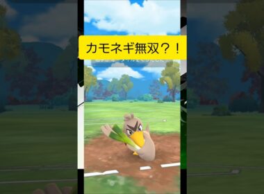 カモネギ1匹で3体まとめてぶっ飛ばす！！