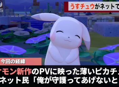 ポケモン新作のPVに映った「うすチュウ」儚すぎると話題になるwwww