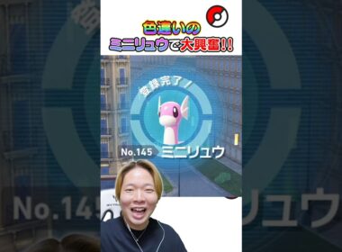色違いのミニリュウ出現！！#ポケモン #ポケモンza #ポケモンレジェンズ #pokemonlegendsza #ゲーム実況 #色違い