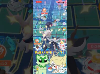ヒスイダイケンキもレシラムゼクロムも色違い欲しすぎる件！！【ポケモンGO】