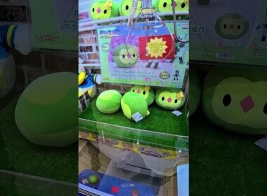 野生のソロシスが現れた！ #ポケモン