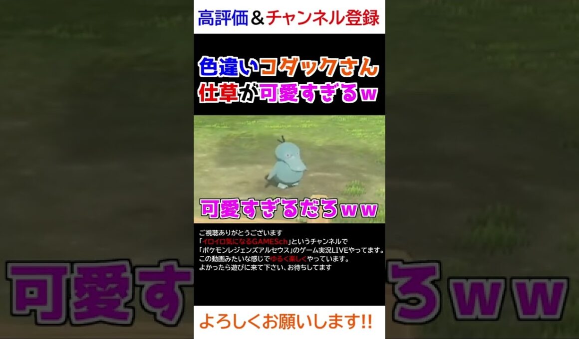 色違いコダックさんの仕草が可愛すぎるｗｗｗ【Pokémon LEGENDS アルセウス】