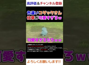 色違いコダックさんの仕草が可愛すぎるｗｗｗ【Pokémon LEGENDS アルセウス】