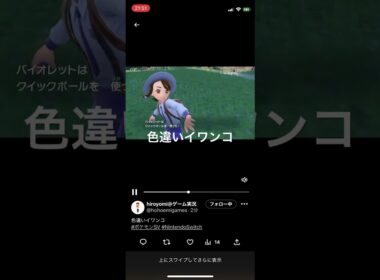 ポケモンスカーレット・バイオレット　色違いイワンコ出現！ #pokémon #ポケットモンスター　＃SV