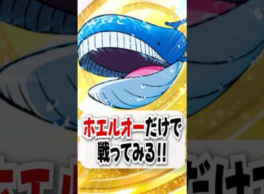 【検証】エネバフ無限大のホエルオーだけで勝てるのか試してみた！【ポケポケ】