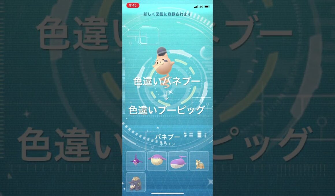 ポケモンGO 色違いバネブー出現！色違いブーピッグへ進化！ #pokémon #ポケモン #ポケモンgo #ポケgo