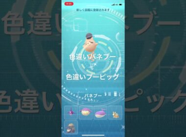 ポケモンGO 色違いバネブー出現！色違いブーピッグへ進化！ #pokémon #ポケモン #ポケモンgo #ポケgo