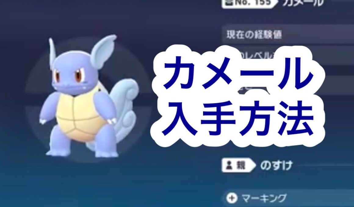 【ポケモンZA】カメール入手方法