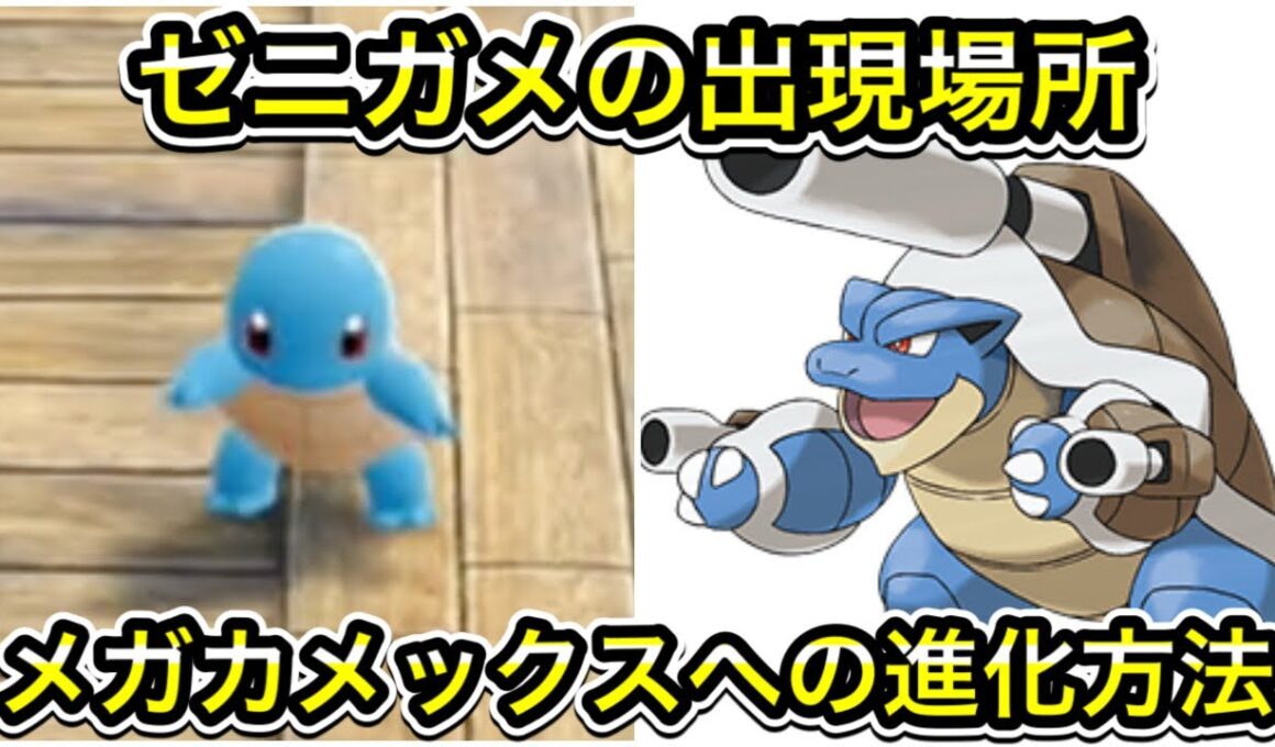 【レジェンズZA】ゼニガメの出現場所！メガカメックスへの進化方法！