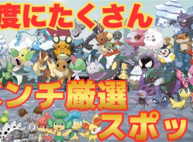 【1度でGET】たくさんの種類の色違いをまとめて厳選できるベンチスポットを紹介【ポケモンZA】