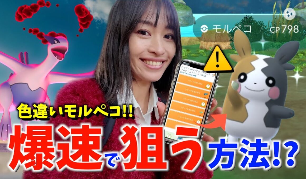 色違いモルペコを爆速で狙う方法！？ダイマックスルギアも実装決定！？ハイボルテージ初日レポート！！【ポケモンGO】