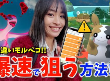 色違いモルペコを爆速で狙う方法！？ダイマックスルギアも実装決定！？ハイボルテージ初日レポート！！【ポケモンGO】