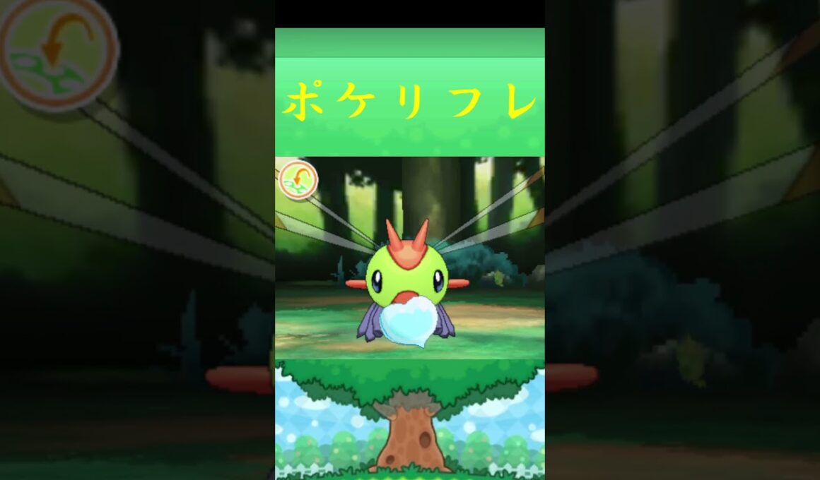 ヤンヤンマ*ポケモン ポケリフレ ポケパルレ #ポケモン #Pokemon  #3DS #nintendoswitch #ポケモンsv #ポケモン #キャンプ #サンドイッチ #ピクニック