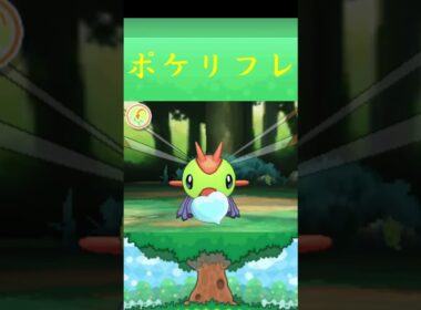 ヤンヤンマ*ポケモン ポケリフレ ポケパルレ #ポケモン #Pokemon  #3DS #nintendoswitch #ポケモンsv #ポケモン #キャンプ #サンドイッチ #ピクニック