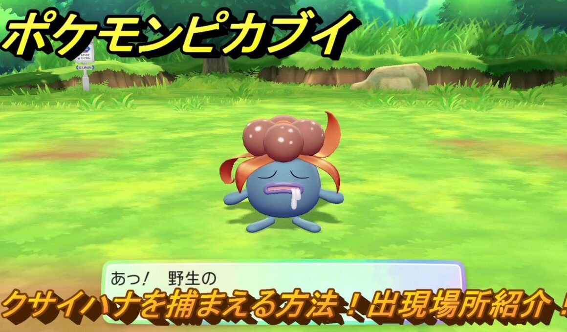 ポケモンピカブイ　クサイハナを捕まえる方法！出現場所紹介！図鑑コンプへの道！　【ポケットモンスター Let's Go! ピカチュウ・イーブイ】