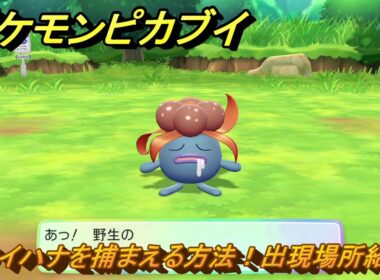 ポケモンピカブイ　クサイハナを捕まえる方法！出現場所紹介！図鑑コンプへの道！　【ポケットモンスター Let's Go! ピカチュウ・イーブイ】