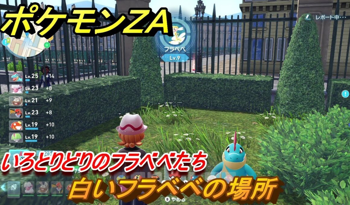 ポケモンＺＡ　いろとりどりのフラベベたち　白いフラベベの場所　＃６２　【Pokémon LEGENDS Z-A】