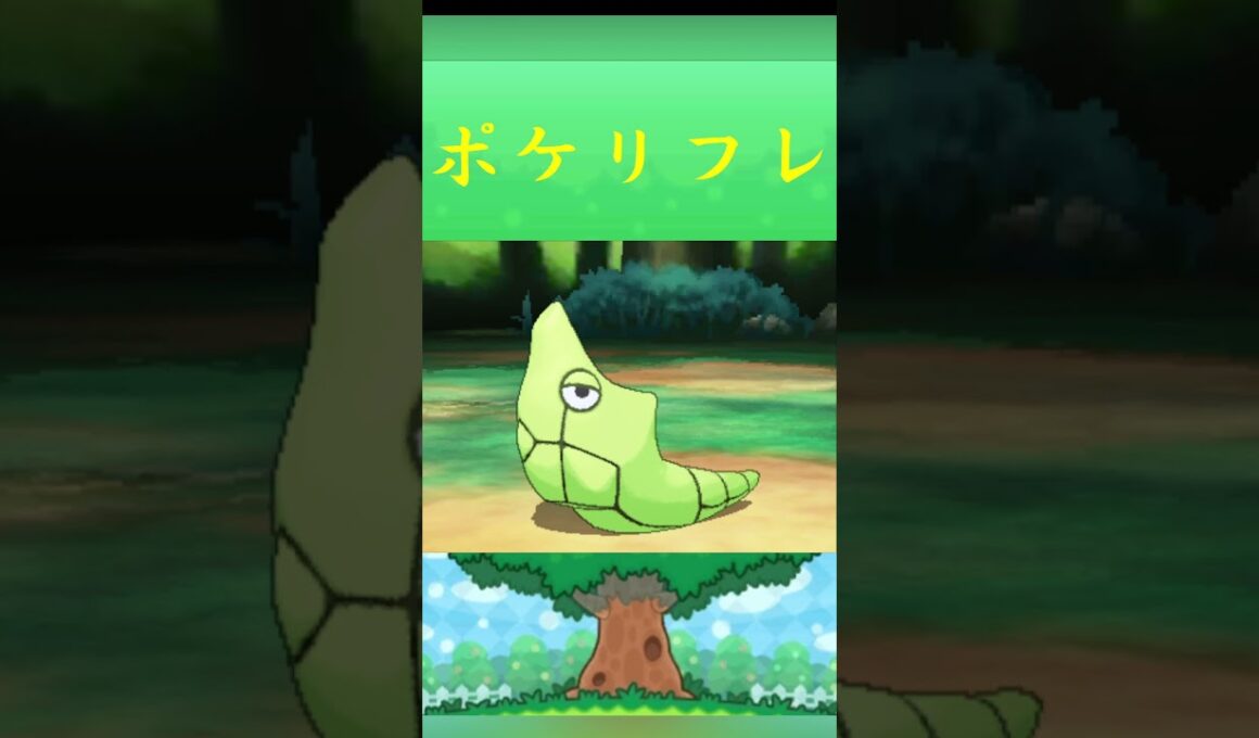 ポケモン トランセル ポケリフレ ポケパルレ #ポケモン #Pokemon  #3DS #ポケモン技 #ポケモンsv #ポケモン#キャンプ #カレー #サンドイッチ #ピクニック