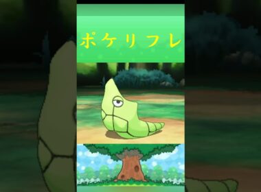 ポケモン トランセル ポケリフレ ポケパルレ #ポケモン #Pokemon  #3DS #ポケモン技 #ポケモンsv #ポケモン#キャンプ #カレー #サンドイッチ #ピクニック