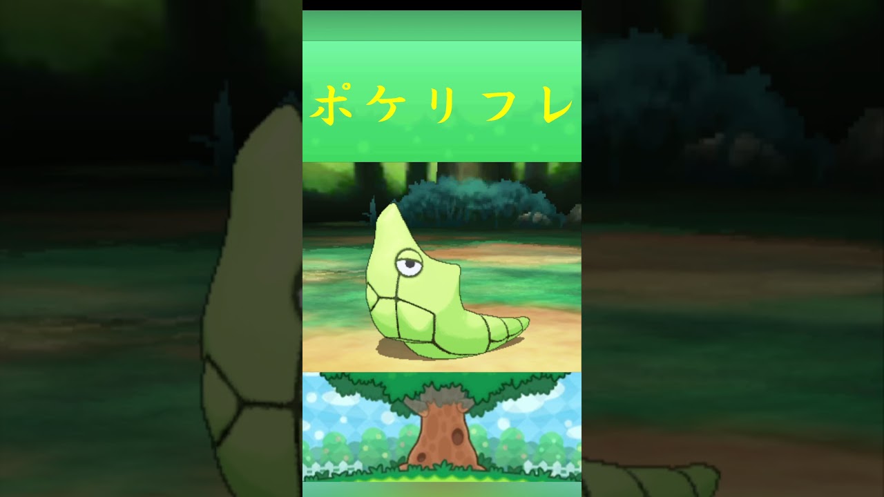 ポケモン トランセル ポケリフレ ポケパルレ #ポケモン #Pokemon #3DS #ポケモン技 #ポケモンsv #ポケモン#キャンプ ...