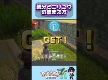 親分ミニリュウの捕まえ方『Pokémon LEGENDS Z-A』  #ポケモンレジェンズZA #pokemonlegendsza #shorts