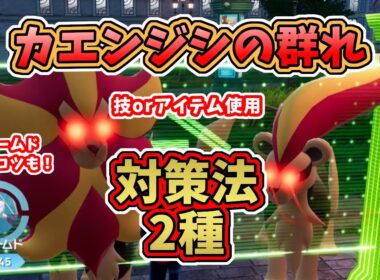 【ポケモンZA】ワイルドゾーン17・カエンジシの群れ(オヤブン)対策法2種【レジェンズZA攻略】エアームド捕獲のコツも