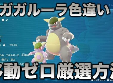 【メガ色違い!!】メガガルーラ編!!【ポケモンZA】